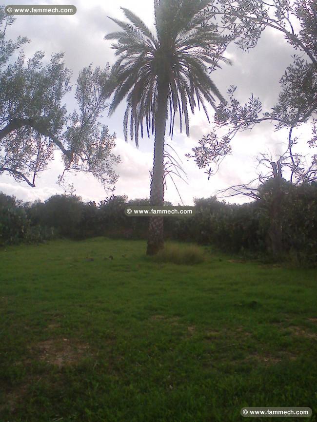 terrain 3040 m2
