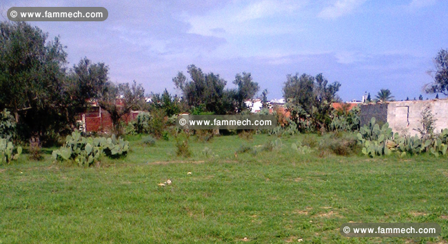 terrain 3040 m2