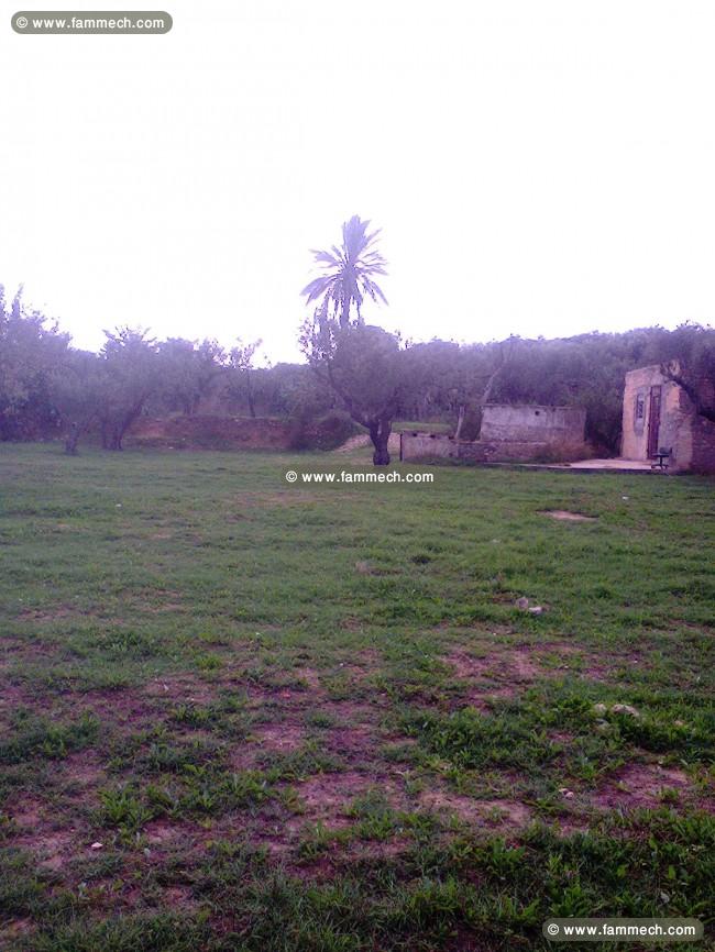 terrain 3040 m2
