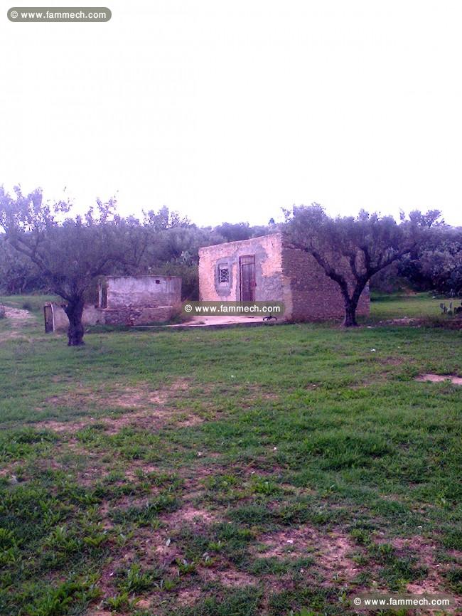 terrain 3040 m2