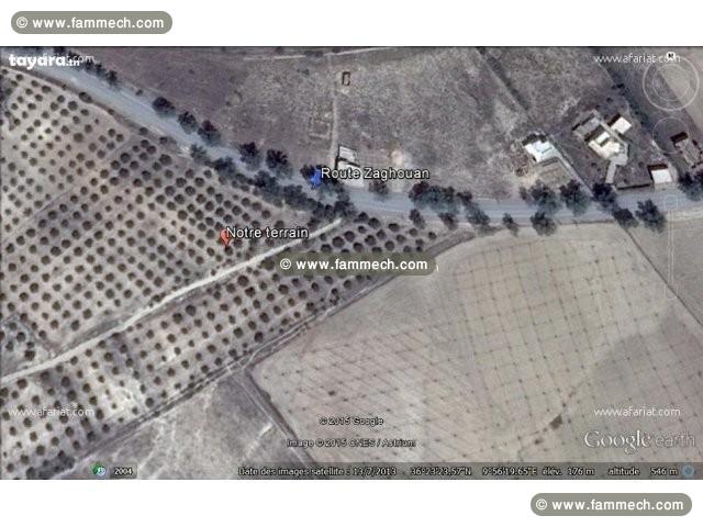 Terrain 3200 m2 route Zaghouan ,Fahs