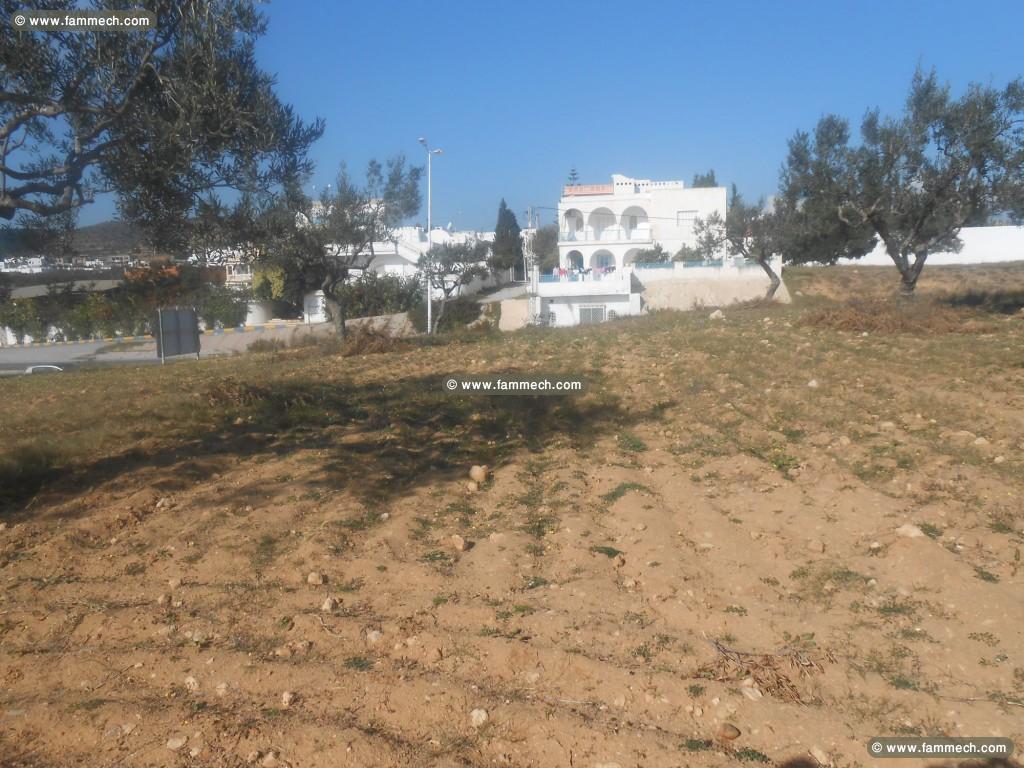 terrain 327m2 kharrouba hammamet nord