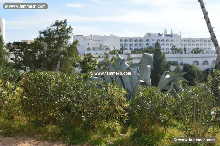 terrain 347m2 mrezga coter hammamet nord