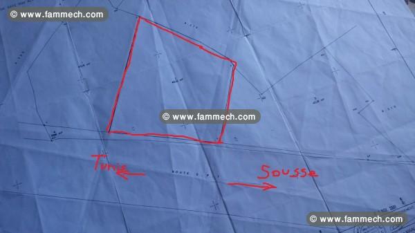 Terrain 4528 m2 Sidi Bou Ali