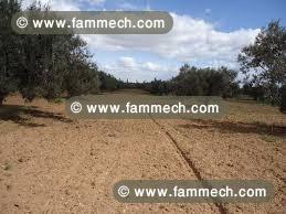 terrain 4812m² a aousja sur la route ras jebel
