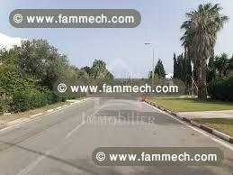 terrain 500m2 zonne touristique mrezga