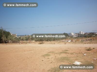 terrain 545m2 kharrouba hammamet nord