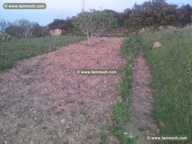 terrain 768m2 a raf raf