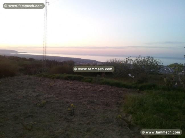terrain 768m2 a raf raf