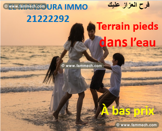 terrain à bas prix