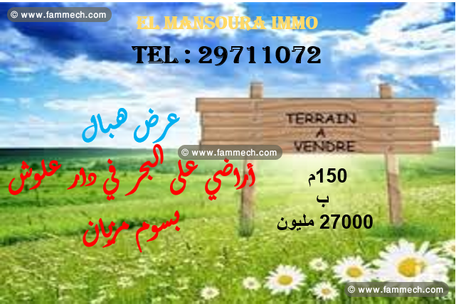 terrain a bas prix