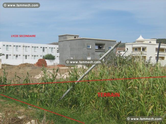 Terrain à bâtir dans un quartier viabilisé