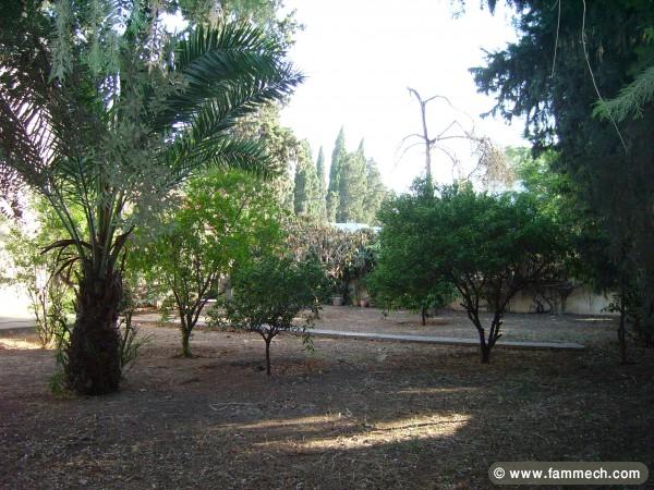 Terrain a bâtir Nouvelle Ariana 500m²