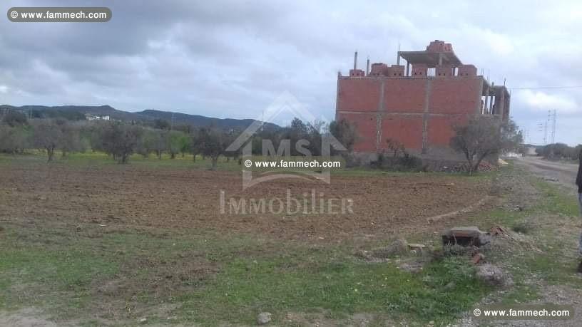 Terrain à Birbourgba de 1000 m² à vendre à 150 MD 