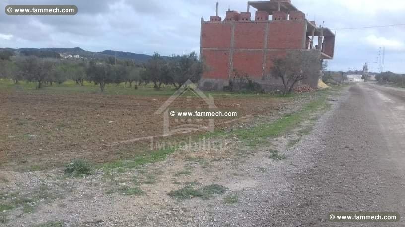 Terrain à Birbourgba de 1000 m² à vendre à 150 MD 