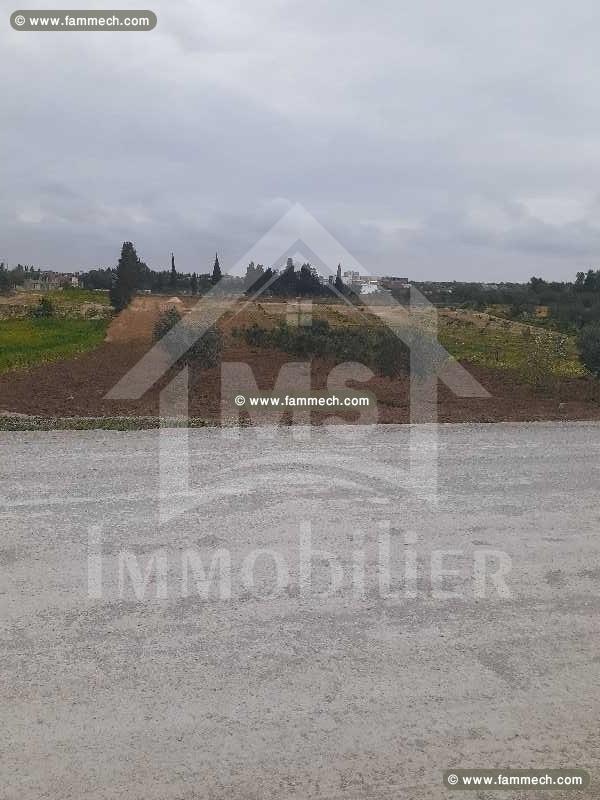 Terrain à Birbourgba de 2200 m² à vendre à 440 MD 