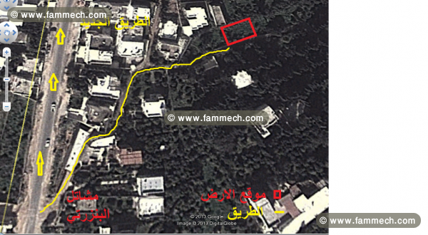 terrain a corniche (titre foncier)