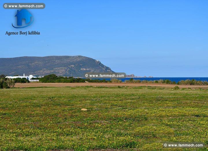 terrain à dar allouch a vendre 