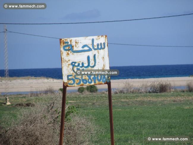 Terrain à Dar Allouche entre Kelibia et elhawareya
