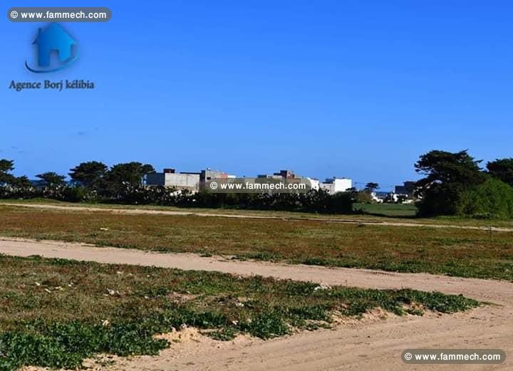 Terrain a dar allouche kelibia 95829120
