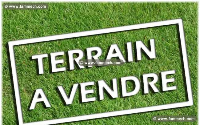Terrain a Ezzahra a vendre
