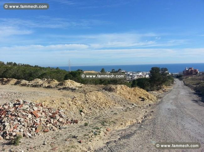terrain a hammamet 