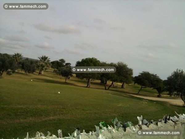 terrain a hammamet