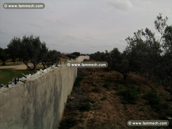 terrain a hammamet
