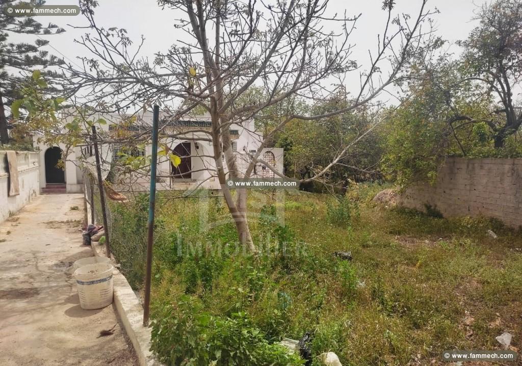 Terrain à Hammamet de 278 m² à vendre 51355351