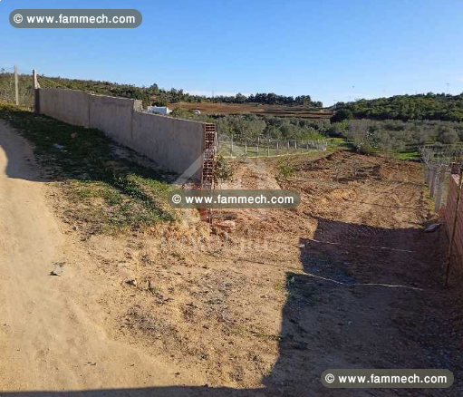 Terrain à Hammamet Sud à vendre à 55 MD 51355351