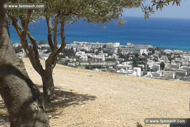 Terrain à Hammamet vue mer CS-558ecd