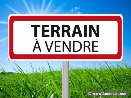 terrain a jardin de carthage 