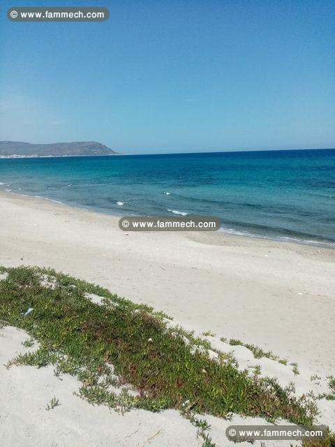 Terrain à plage Dar Allouche Kélibia