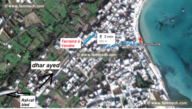 Terrain à rafraf plage 