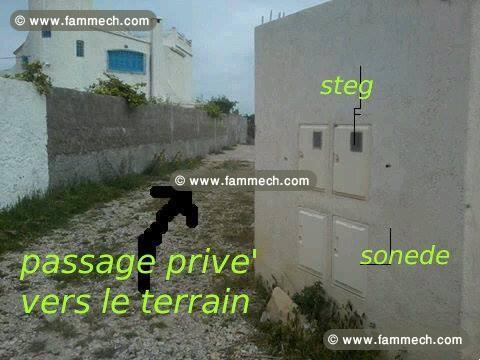 terrain a vendre 