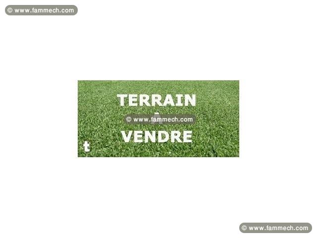 Terrain a vendre