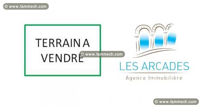 Terrain à vendre
