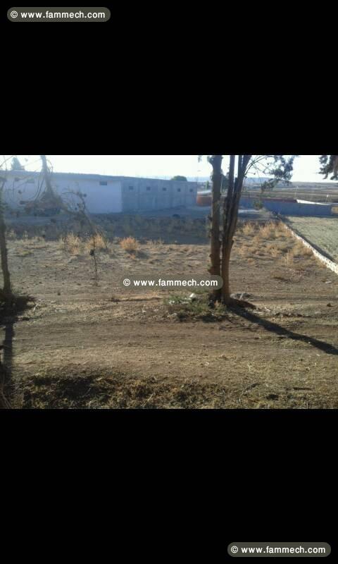 terrain a vendre