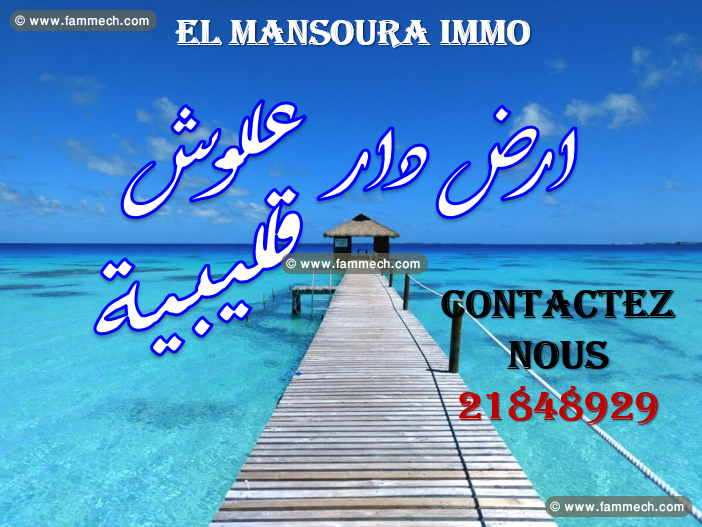 terrain a vendre