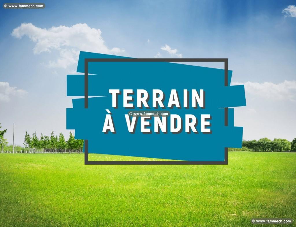 terrain à vendre