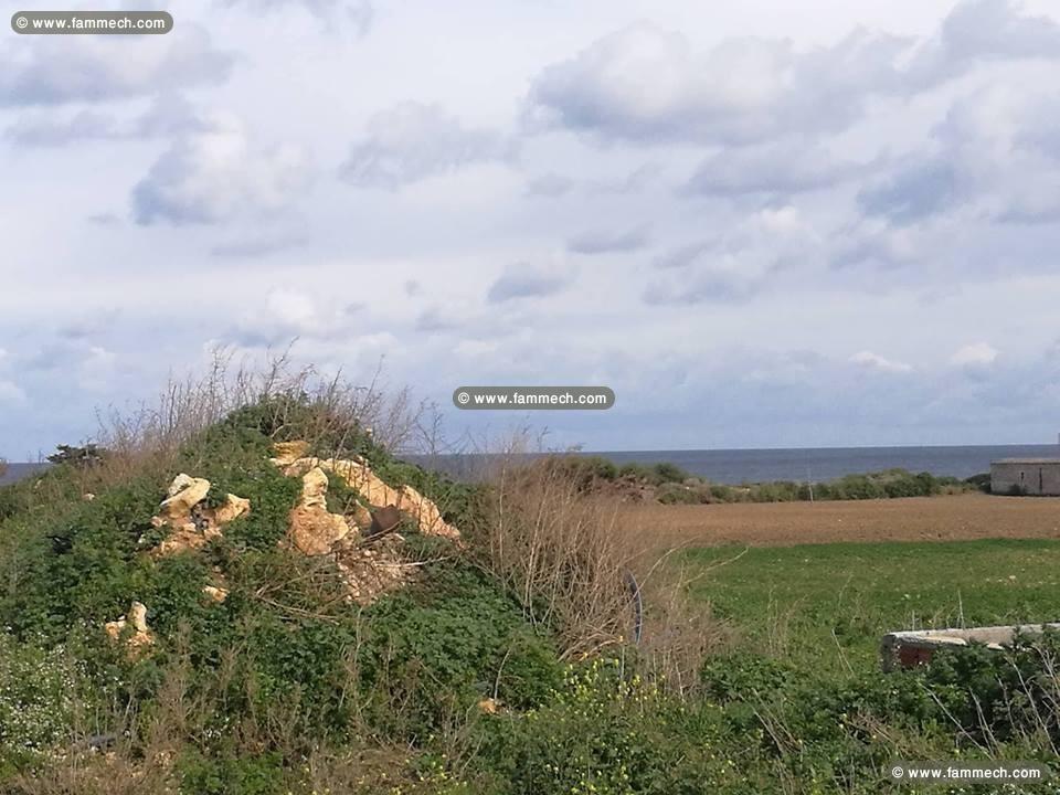 Terrain à vendre à dar allouch kelibia 95829120