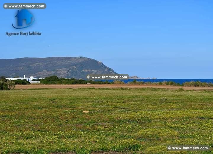 Terrain à vendre à dar allouch kelibia 95829120
