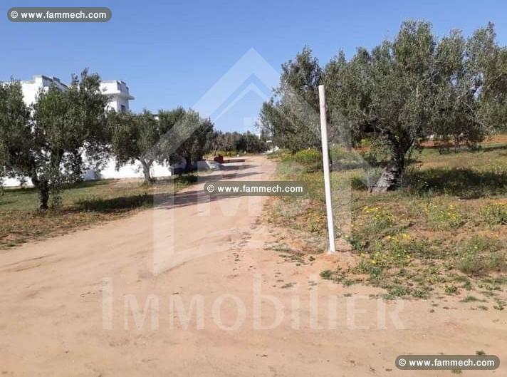 Terrain à vendre à Hammamet à 530 dt/m² 51355351