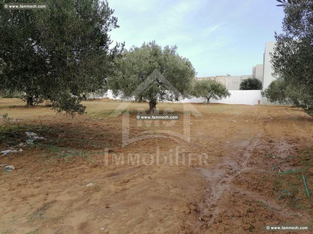 Terrain à vendre à Hammamet nord à 210 MD 