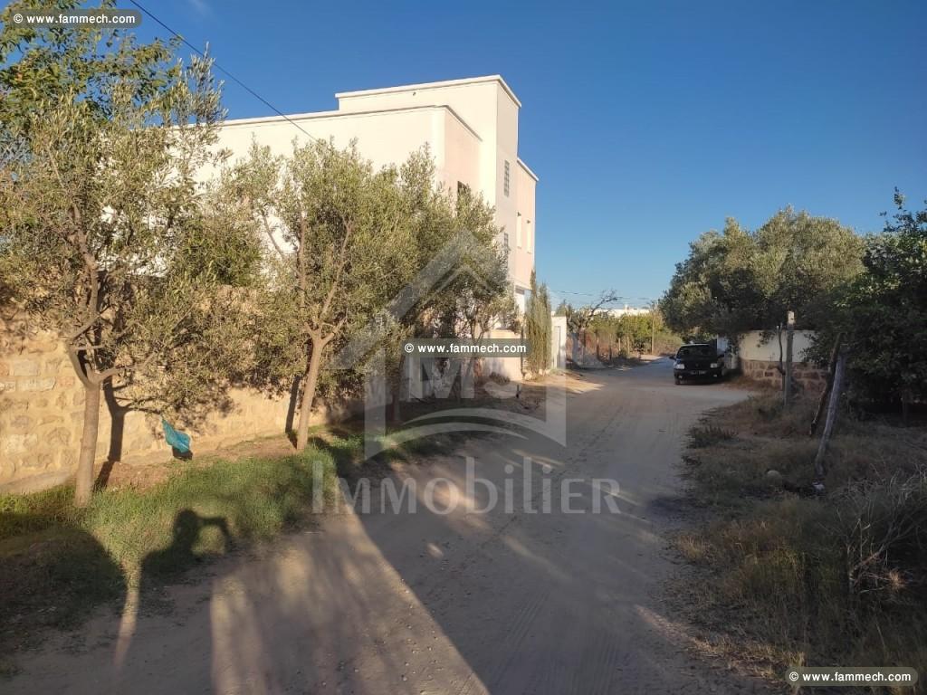Terrain à vendre à Hammamet Zone théâtre à 280 MD 
