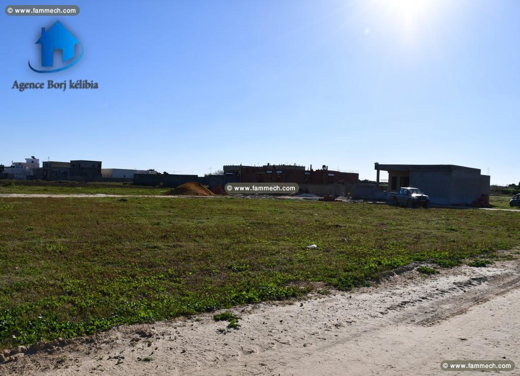 terrain a vendre a plage dar allouche 95829120