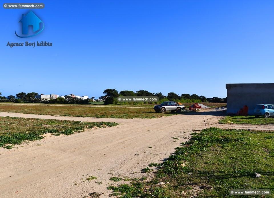 Terrain a vendre a plage dar allouche 95829120