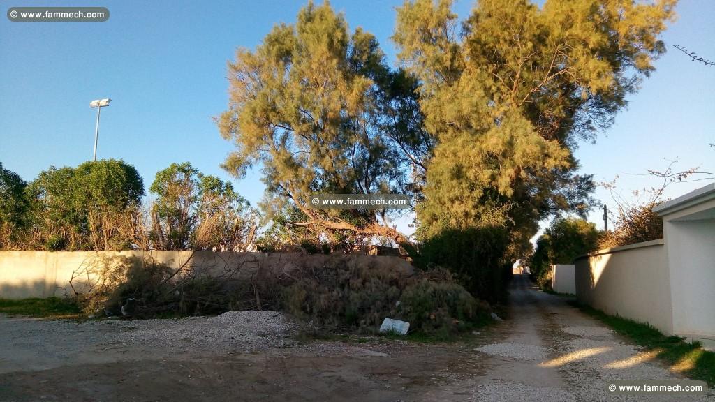 terrain à vendre à soukra