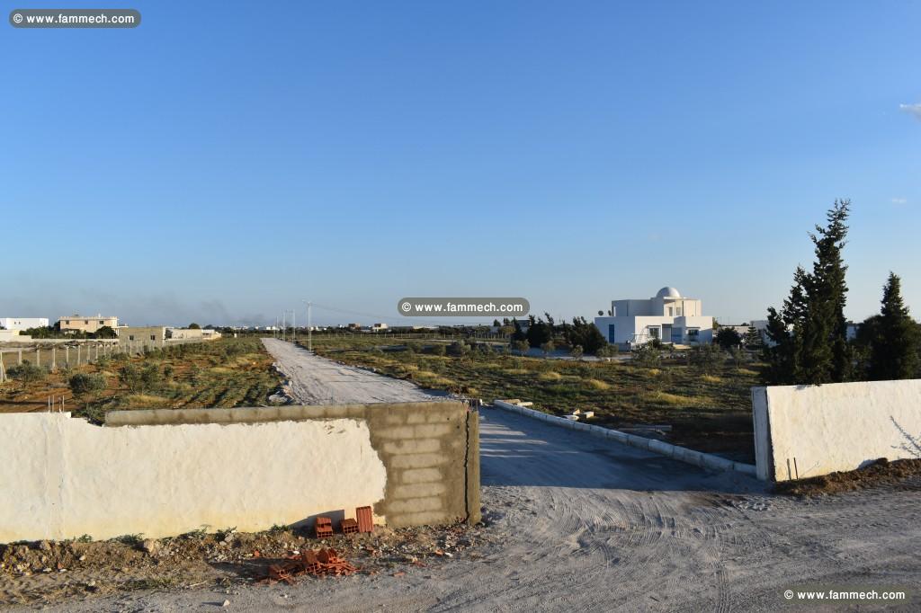 terrain a vendre hammamet sud