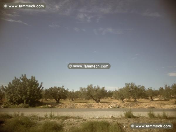 terrain a vendre sur une route principale